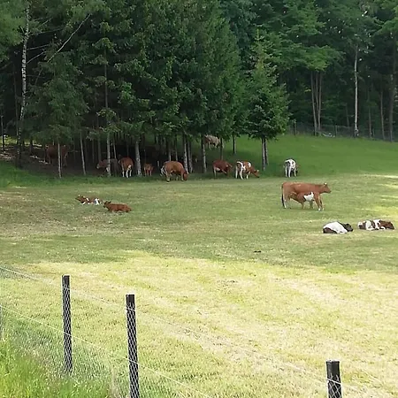 Uroczy Zakatek Karkonoszy