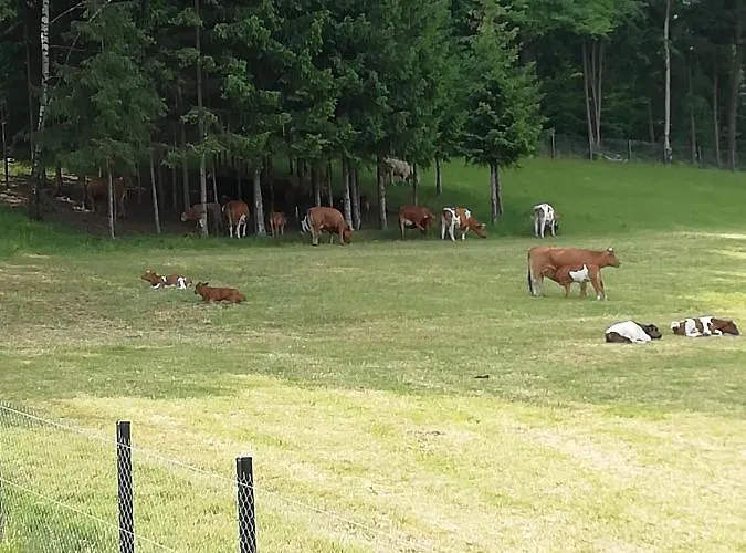 Uroczy Zakatek Karkonoszy